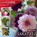 SL0227 酒田の花束 季節の花束 SAKATA12