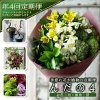 SL0220 季節の花や植物の定期便 んだの4