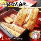 うなぎ 白焼1本