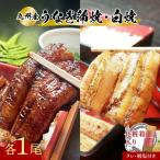 うなぎ 蒲焼白焼セット各1本