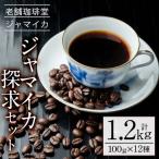 コーヒー 自家焙煎 100g×12種