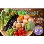 ふるさと納税 【定期便 毎月コース】 野菜のプロ40年が届けるこだわり野菜セット！ 7〜8品目 詰め合わせ 【2026年1月上旬より発送開始】 長崎県時津町