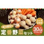 定番野菜セット定期便 どっさり 約10kg×3回コース