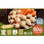 定番野菜セット定期便 どっさり 約10kg×6回コース