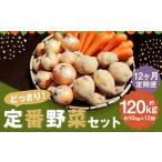 定番野菜セット定期便 どっさり 約10kg×12回コース