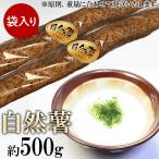 自然薯 約500g