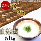 自然薯 約1kg