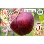 ふるさと納税 りんご 秋映 秀 〜 特秀 5kg 松橋りんご園 沖縄県への配送不可 2025年10月上旬頃から2025年10月中旬頃まで順次発送予定 令和7年度.. 長野県飯綱町