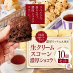 発酵バター仕込み濃厚リッチな九州産生クリームスコーン