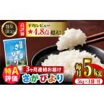 〈受付一時停止中〉 さがびより 計15kg