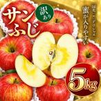 りんご サンふじ 令和8年 信州のサンふじ