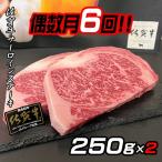 佐賀牛ステーキ 250g×2:C172-004