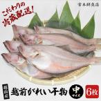 冷蔵直送 干物 越前産赤かれい 中 6枚