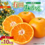 和歌山 有田みかん 約10kg
