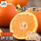 伊予柑 約10kg