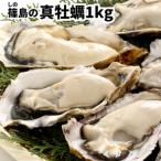 ふるさと納税 特上・篠島の殻付き真牡蠣1kgセット(生食用かき・CAS冷凍カキ)海鮮バーベキューBBQ、浜焼きに [配送不可地域：離島] ( ハ゛ーヘ.. 愛知県南知多町