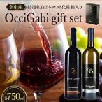 紅白 余市スパークリング ワイン セット 赤