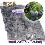 古代の風 無農薬ブルーベリー1kg 冷凍