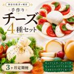 チーズ 定期便 3ヶ月 4種