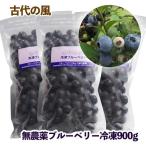 古代の風 無農薬ブルーベリー900g 冷凍