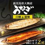 大隅産 千歳鰻の白焼 1尾
