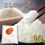 すくも産コシヒカリ 10kg