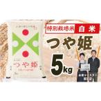 ふるさと納税 【令和7