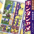 セイカ食品 南国特産 ボンタンアメ セット