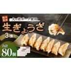 火の君ポーク 使用 生ぎょうざ 3種セット 合計80個