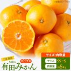 ご 旨味凝縮 有田みかん 約5kg