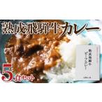熟成飛騨牛カレー レトルト 詰め合わせ 5食セット