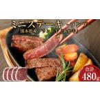 ふるさと納税 熊本県産 あか牛 ミニステーキ ランプ 合計480g 120g×4パック ステーキ 牛肉 肉 赤牛 熊本県西原村