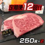 牛肉 サーロイン 定期便12回 佐賀牛ステーキ 250g×2:C345-0…