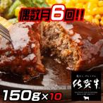 佐賀牛入りハンバーグ 10個:B895-002
