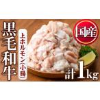 ふるさと納税 No.1001-02 黒毛和牛上ホルモン(計1kg)国産 九州産 牛肉 黒毛和牛 和牛 ホルモン 焼肉 鉄板焼き もつ鍋 冷凍 小分け【カミチク】 鹿児島県日置市