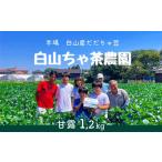 だだちゃ豆 早生甘露 1.2kg