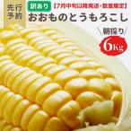 とうもろこし おおもの6kg