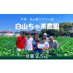 だだちゃ豆 早生甘露 2.5kg