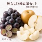 種なし巨峰 約2kg