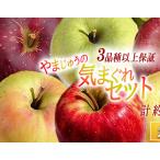 りんご 3品種以上保証 気まぐれセット 3kg