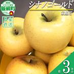 りんご 黄色くシャキシャキりんご シナノゴールド 3kg
