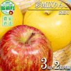 りんご 黄紅彩りMIXりんご サンふじ シナノゴールド 3kg