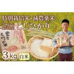 〈新米〉減農薬米 こしひかり 3kg