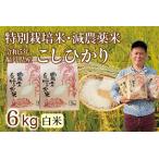 〈新米〉減農薬米 こしひかり 6kg