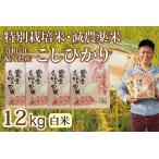 〈新米〉減農薬米 こしひかり 12kg