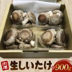 行田産こだわり生椎茸 約900g