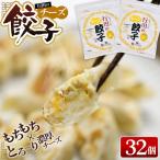 行田の餃子2袋セット 1500g