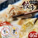 餃子セット 行田のチーズ餃子 行田の餃子 各1袋