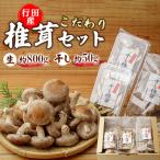 行田産こだわり椎茸セット 生椎茸 干し椎茸