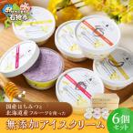 アイスクリーム 6個
